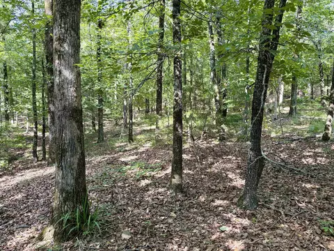 000 Luker Ln, Mayflower, AR 72106 photo 18