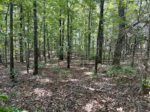 000 Luker Ln, Mayflower, AR 72106 photo 15