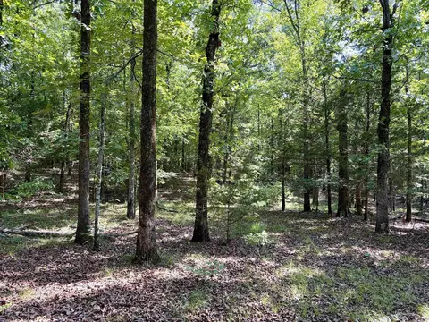 000 Luker Ln, Mayflower, AR 72106 photo 32