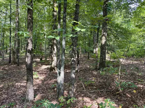 000 Luker Ln, Mayflower, AR 72106 photo 16