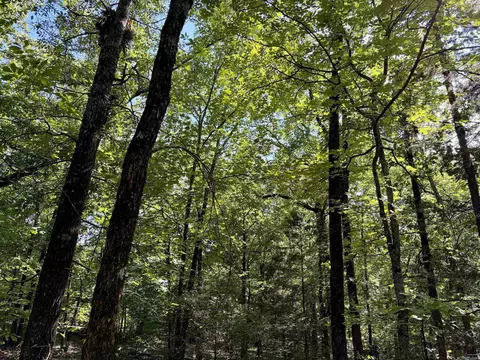 000 Luker Ln, Mayflower, AR 72106 photo 29