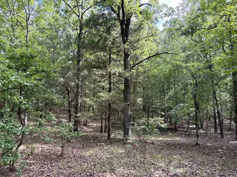 000 Luker Ln, Mayflower, AR 72106 photo 9