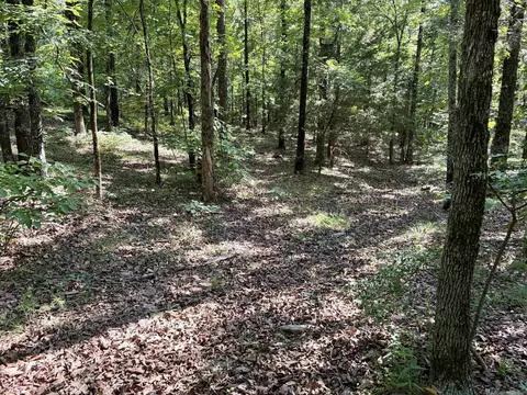 000 Luker Ln, Mayflower, AR 72106 photo 30