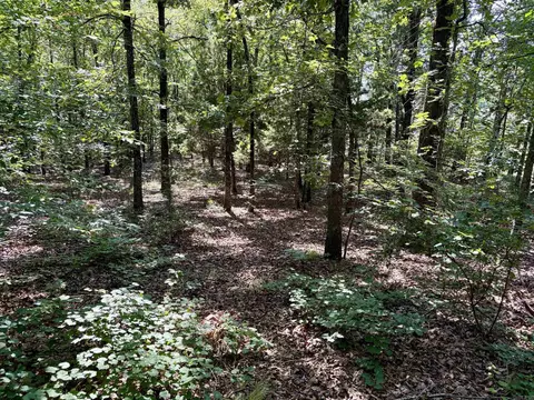 000 Luker Ln, Mayflower, AR 72106 photo 26