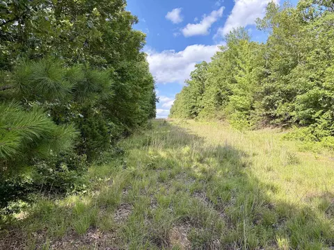 000 Luker Ln, Mayflower, AR 72106 photo 20