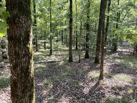 000 Luker Ln, Mayflower, AR 72106 photo 31