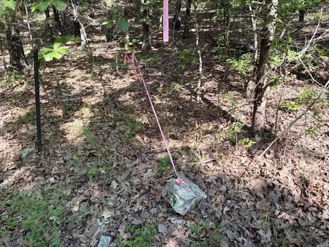 000 Luker Ln, Mayflower, AR 72106 photo 24