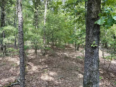 000 Luker Ln, Mayflower, AR 72106 photo 10