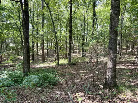 000 Luker Ln, Mayflower, AR 72106 photo 19