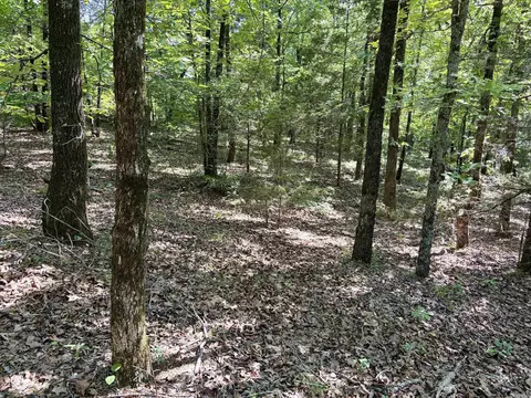 000 Luker Ln, Mayflower, AR 72106 photo 28