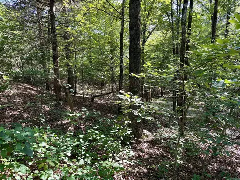 000 Luker Ln, Mayflower, AR 72106 photo 27