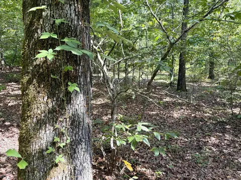 000 Luker Ln, Mayflower, AR 72106 photo 14