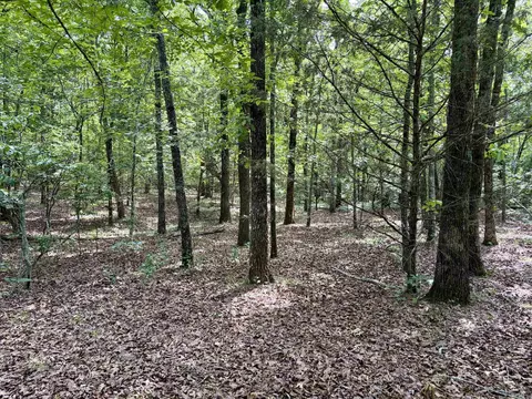 000 Luker Ln, Mayflower, AR 72106 photo 11