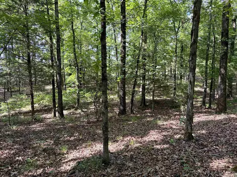 000 Luker Ln, Mayflower, AR 72106 photo 17
