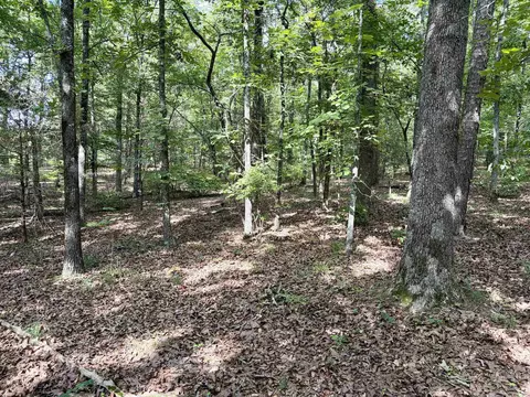 000 Luker Ln, Mayflower, AR 72106 photo 13