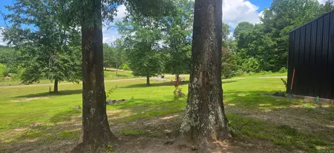 Exterior - 341 Hwy 84, Amity, AR 71921 photo 5 of 10