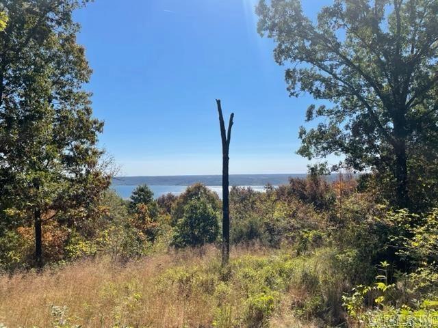 lot1 Diamond Blf, Quitman, AR 72131