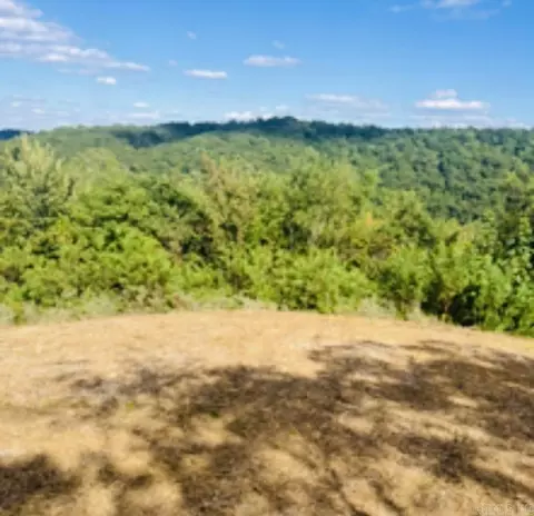 1277 Eagle Point Rd, Mountain View, AR 72560 photo 5