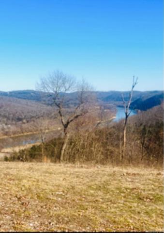 1277 Eagle Point Rd, Mountain View, AR 72560