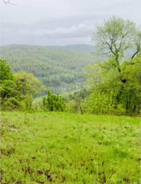 1277 Eagle Point Rd, Mountain View, AR 72560 photo 2