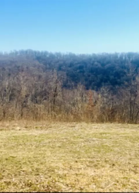 1277 Eagle Point Rd, Mountain View, AR 72560 photo 4