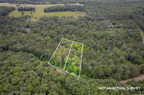 00 Brimer Lot 131 Ln, Higden, AR 72067 photo 9