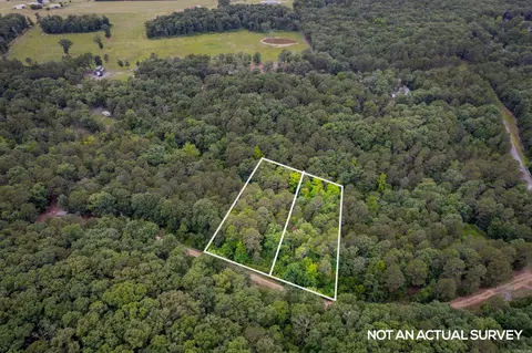 00 Brimer Lot 131 Ln, Higden, AR 72067 photo 6