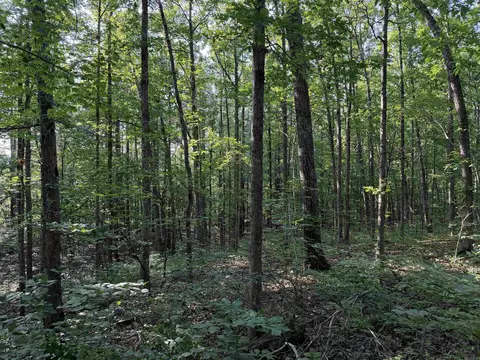 0 Kirkendoll Rd, Clinton, AR 72031 photo 11