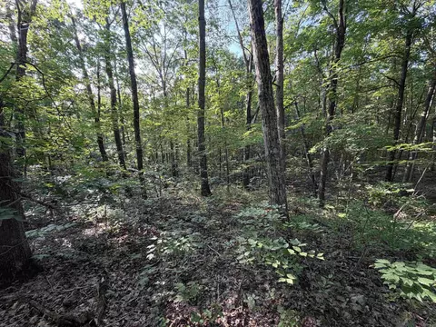 0 Kirkendoll Rd, Clinton, AR 72031 photo 16