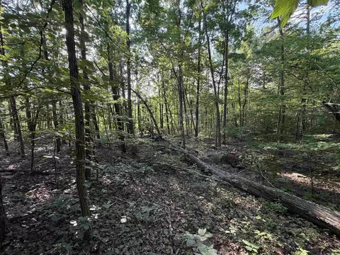 0 Kirkendoll Rd, Clinton, AR 72031 photo 23