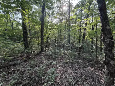 0 Kirkendoll Rd, Clinton, AR 72031 photo 7