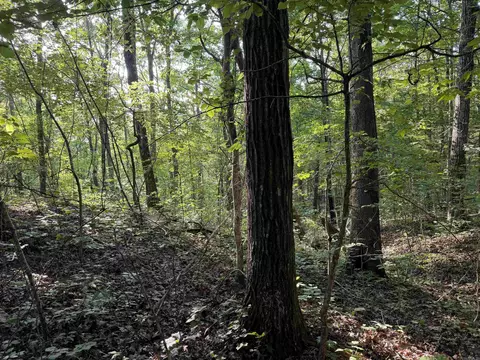 0 Kirkendoll Rd, Clinton, AR 72031 photo 9