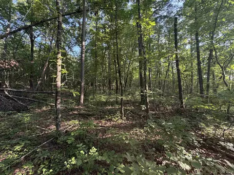 0 Kirkendoll Rd, Clinton, AR 72031 photo 21