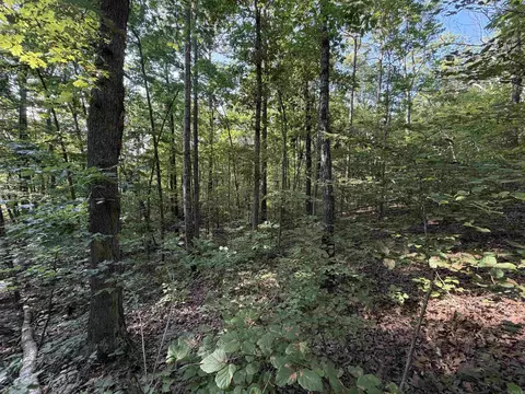 0 Kirkendoll Rd, Clinton, AR 72031 photo 13