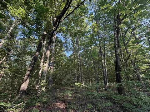0 Kirkendoll Rd, Clinton, AR 72031 photo 17