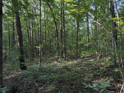 0 Kirkendoll Rd, Clinton, AR 72031 photo 12