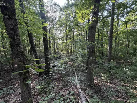 0 Kirkendoll Rd, Clinton, AR 72031 photo 14