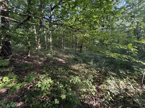 0 Kirkendoll Rd, Clinton, AR 72031 photo 18