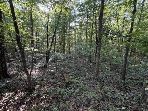 0 Kirkendoll Rd, Clinton, AR 72031 photo 15