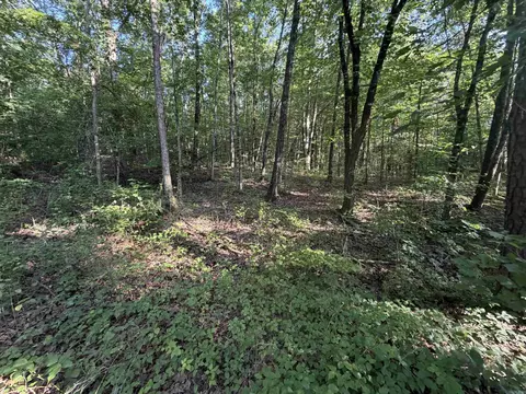 0 Kirkendoll Rd, Clinton, AR 72031 photo 6