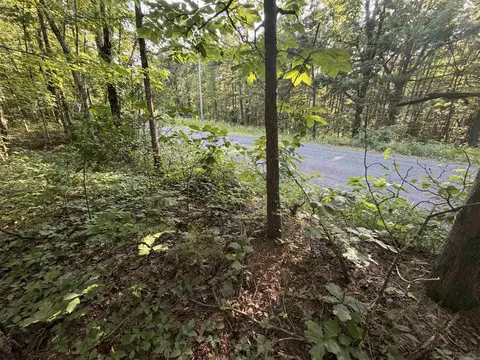 0 Kirkendoll Rd, Clinton, AR 72031 photo 8