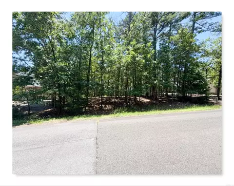 10 Perfecto Cir, Hot Springs Village, AR 71909