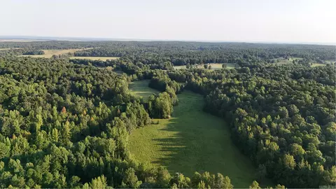 100 Acres Highway 34 W, Paragould, AR 72450