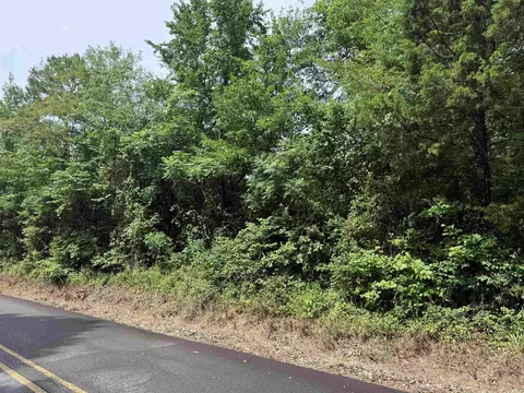 tbd Cc Rd, Amity, AR 71921 photo 3