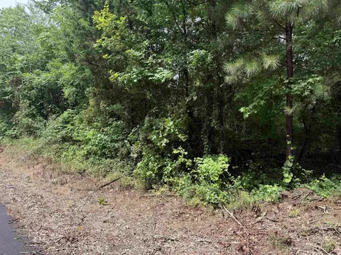tbd Cc Rd, Amity, AR 71921 photo 4