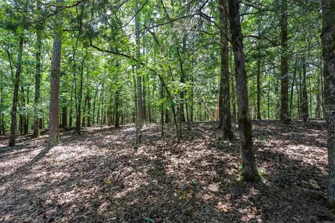 84 Oak Ln, Mount Ida, AR 71957 photo 45