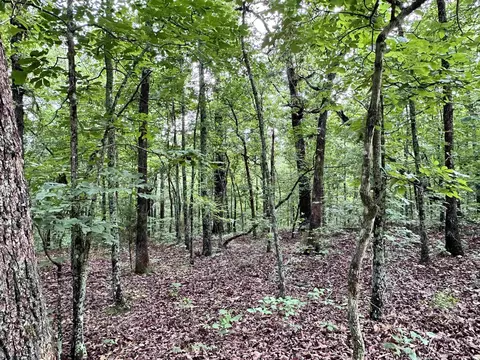 0 Palamino Dr, Williford, AR 72482