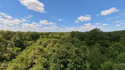 View/Area - 538 Pleasant Run Rd, Mammoth Spring, AR 72554 photo 2 of 2