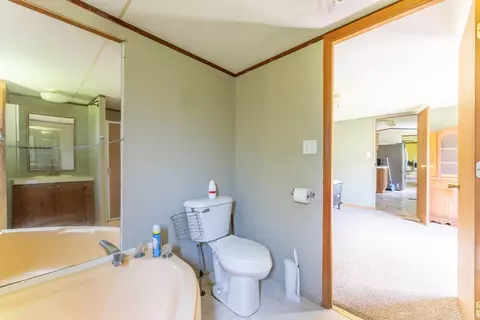 Bath - 538 Pleasant Run Rd, Mammoth Spring, AR 72554 photo 5 of 5