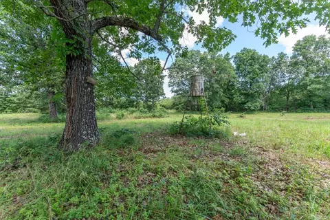 Exterior - 538 Pleasant Run Rd, Mammoth Spring, AR 72554 photo 9 of 13